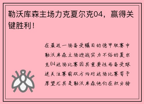 勒沃库森主场力克夏尔克04，赢得关键胜利！